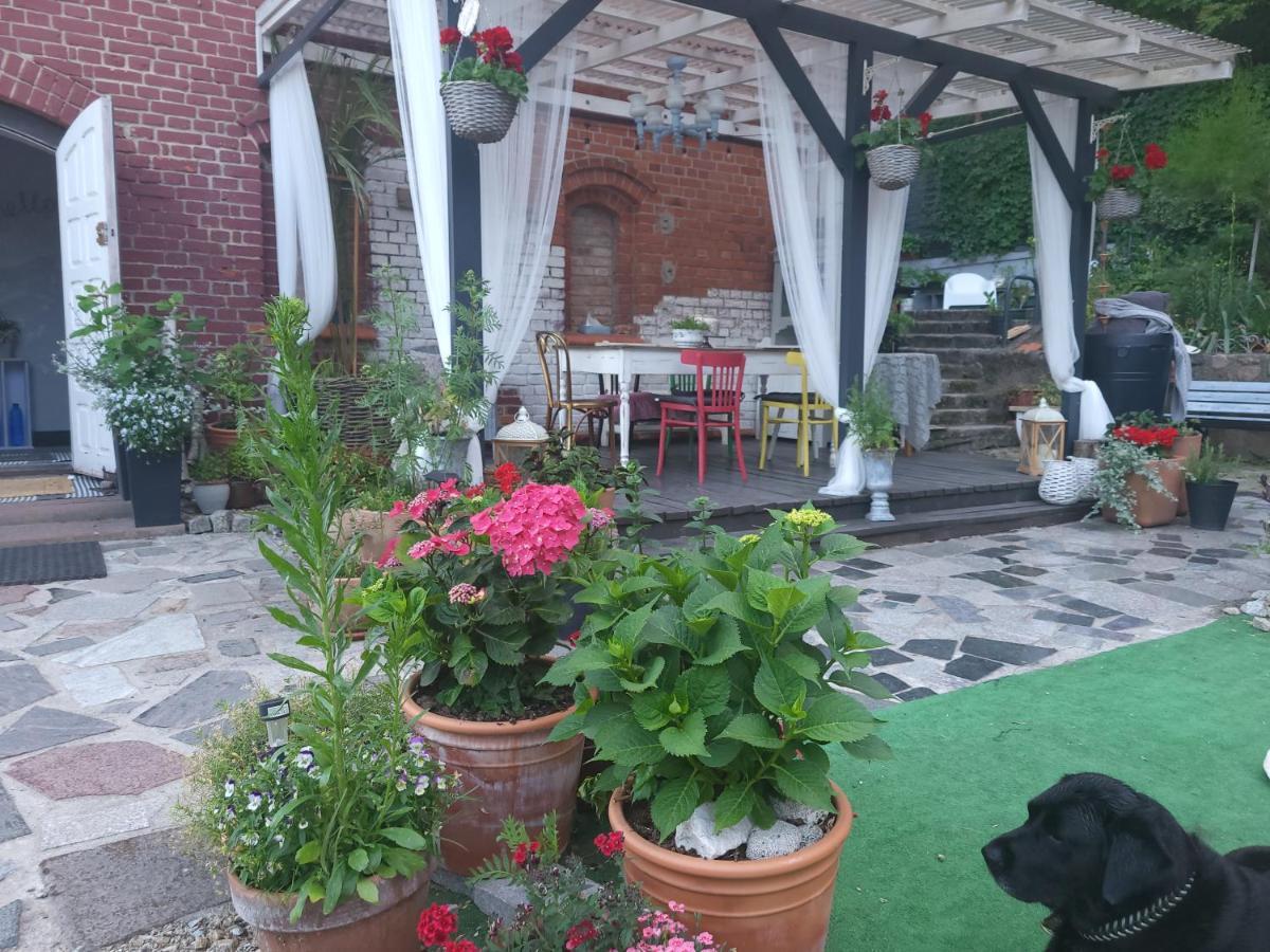 Krzywa Apartamenty 리드즈바르크 바르민스키 외부 사진